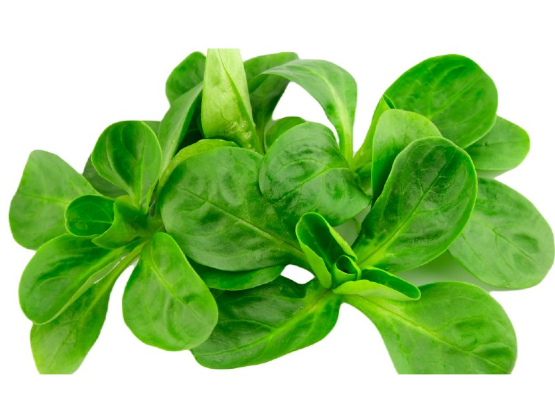 Bij Goeieete bestel je gemakkelijk online je boodschappen van de boer! foto 8